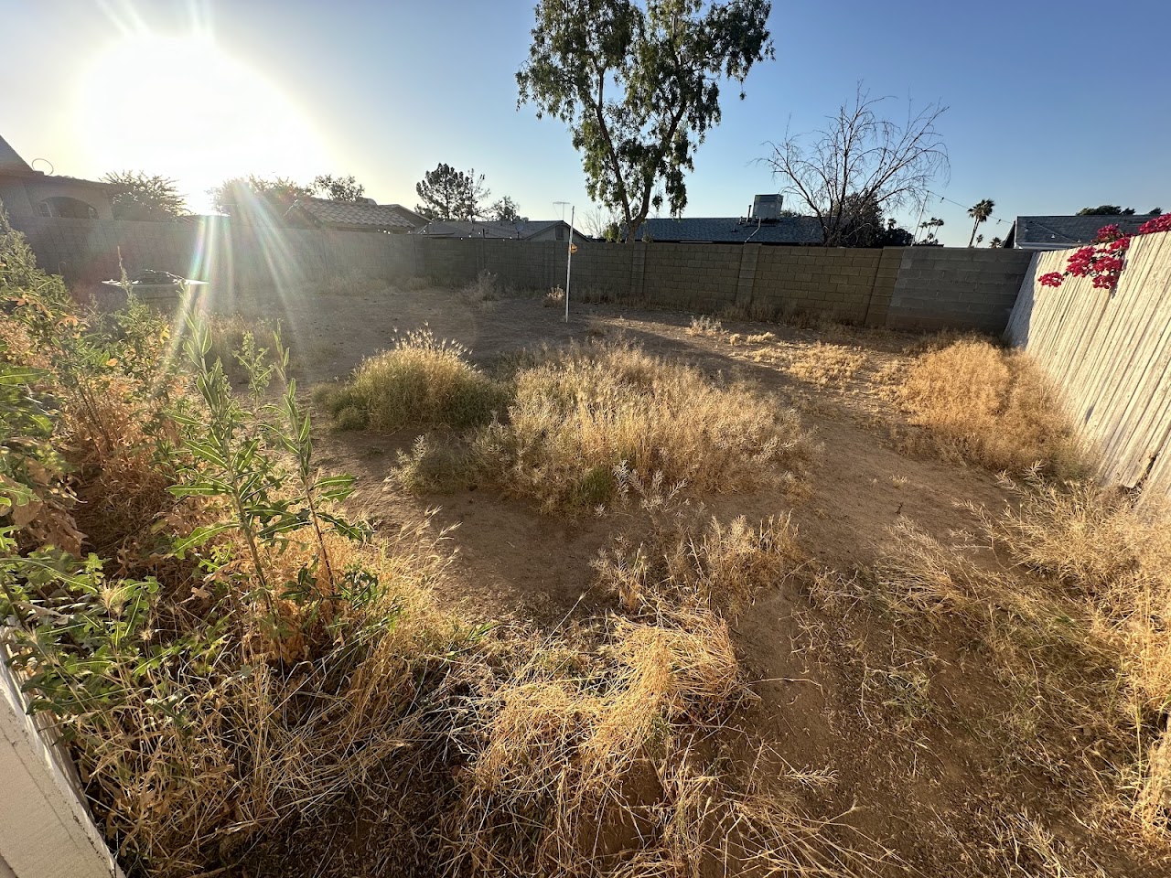 BIG BOSS Landscape project